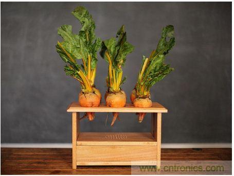 害怕圣誕節(jié)沒創(chuàng)意？看看發(fā)燒友們怎么過圣誕