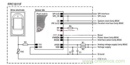 指紋識(shí)別新看點(diǎn):大學(xué)生體育鍛煉管理系統(tǒng)設(shè)計(jì)