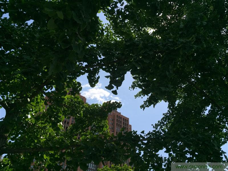 無(wú)邊框的 nubia Z9 ，一款既有驚喜，又有驚艷的智能手機(jī)