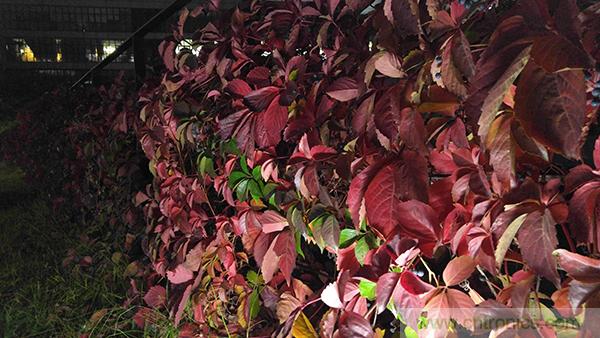 業(yè)界良心 LG V10 評測:剛毅、冷峻，不失人性化