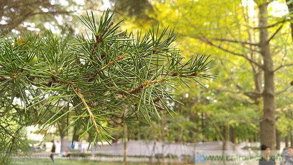 業(yè)界良心 LG V10 評測:剛毅、冷峻，不失人性化