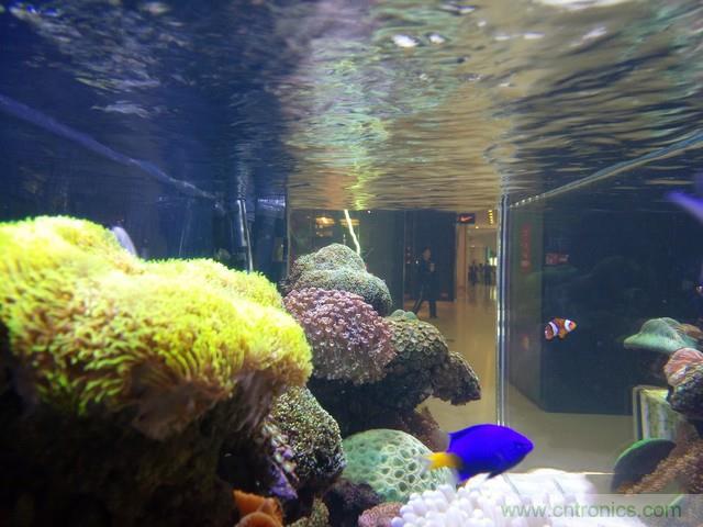 Hi-Fi革命！vivo X6 Plus深度評(píng)測(cè)：夠快才暢快