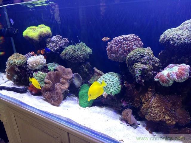 Hi-Fi革命！vivo X6 Plus深度評(píng)測(cè)：夠快才暢快