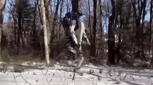 走直線很難嗎？陀螺儀表示，少了它機(jī)器人連直線都走不了