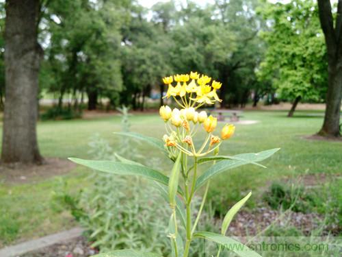 無數(shù)的拍攝，只為成就一個完美回憶