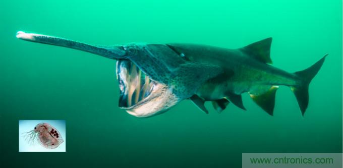 檢測不到信號，是加點噪聲？還是濾除噪聲？