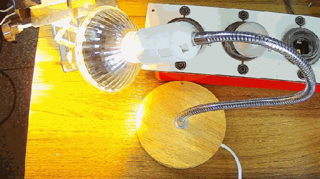 電燈泡內(nèi)通有交流電，為什么看不到燈泡在閃爍？