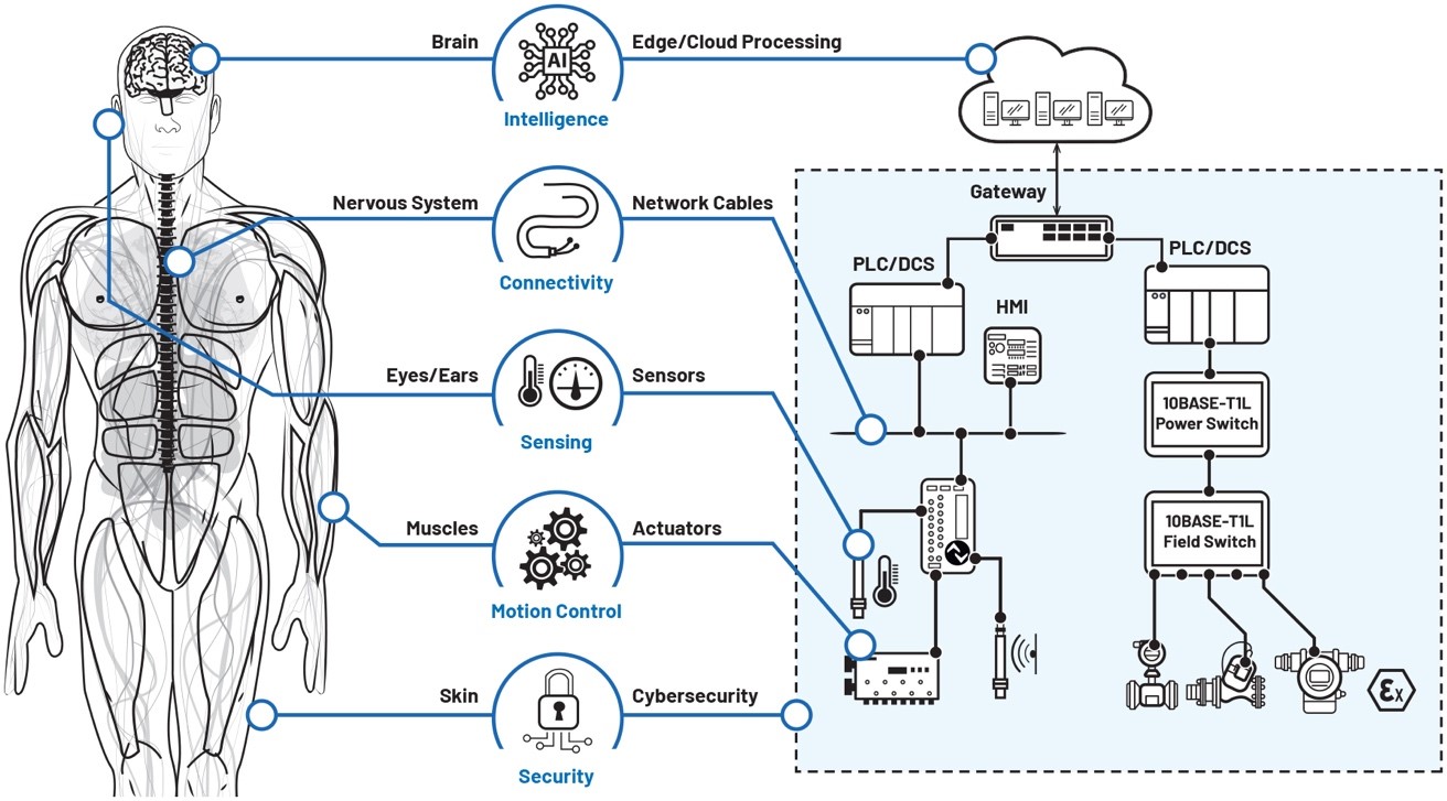 數(shù)字工廠成為現(xiàn)實(shí):通過數(shù)字化轉(zhuǎn)型走向成功 數(shù)字工廠成為現(xiàn)實(shí):通過數(shù)字化轉(zhuǎn)型走向成功