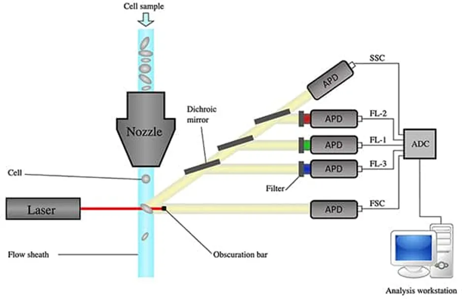 解決了！這個模塊解決了流式細胞儀設計的多個痛點！
