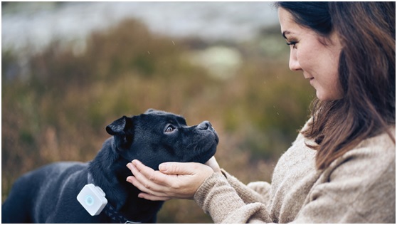低功耗藍牙和蜂窩物聯(lián)網(wǎng)可穿戴設備幫助照看寵物 低功耗藍牙和蜂窩物聯(lián)網(wǎng)可穿戴設備幫助照看寵物