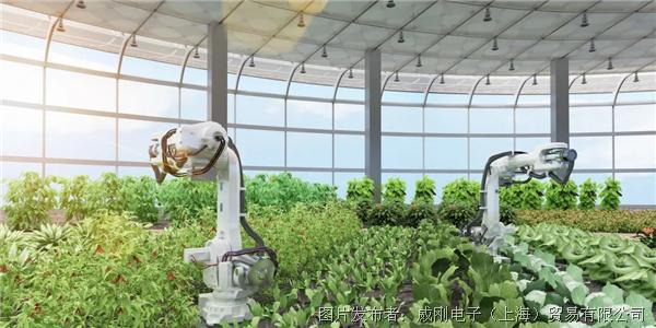 智慧農(nóng)業(yè)大有可為，“數(shù)字種地”更輕松