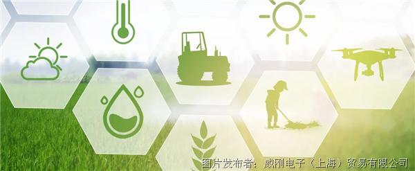 智慧農(nóng)業(yè)大有可為，“數(shù)字種地”更輕松